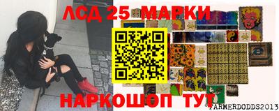 гидропоника Краснокаменск