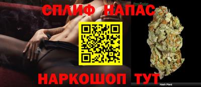 гидропоника Краснокаменск