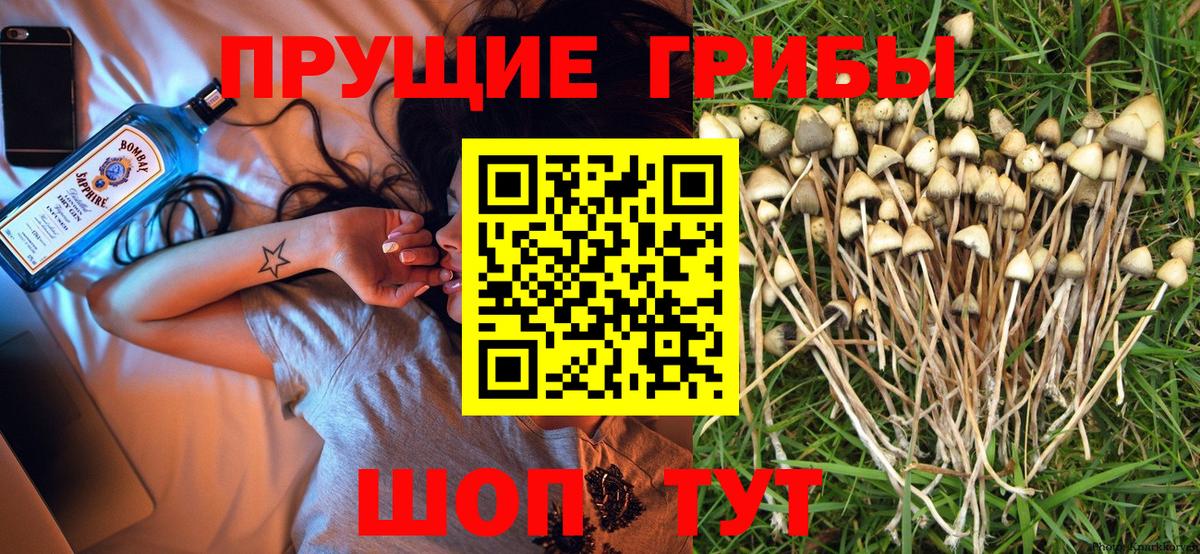 магазин продажи   Вход с VPN  Когалым  Псилоцибиновые грибы ЛСД 